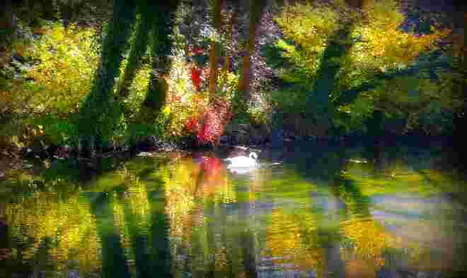 " HERBSTFARBEN "