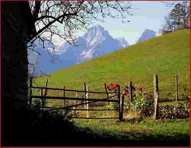 . . . zum Abschied der sonnigen Tage