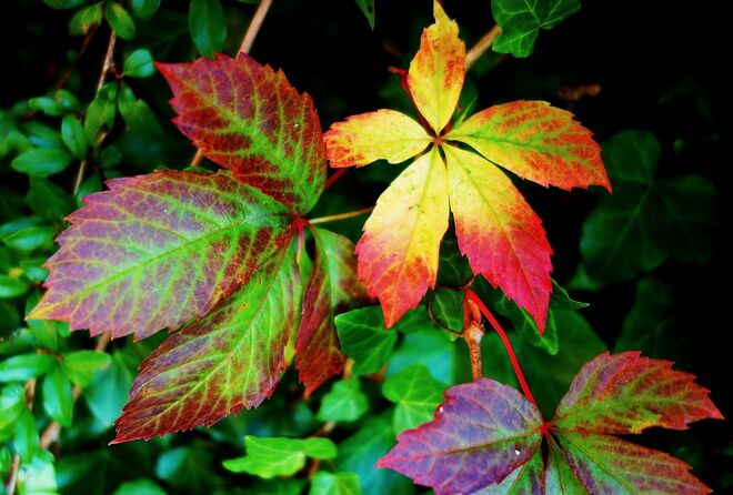 . . . Farbversuch an einer Stützmauer . . .