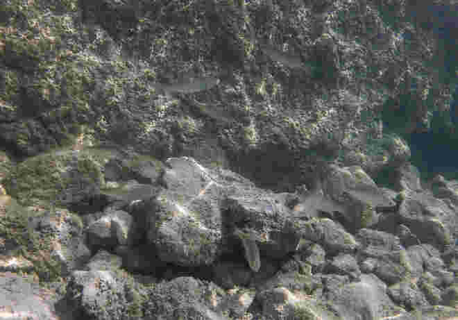 Glasklares Wasser