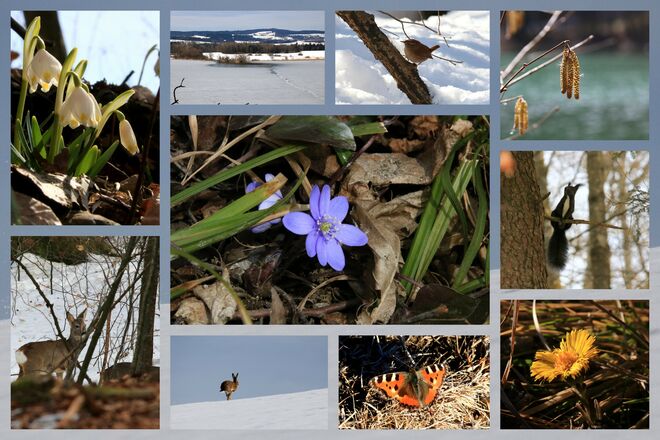 Frühlingserwachen rundum