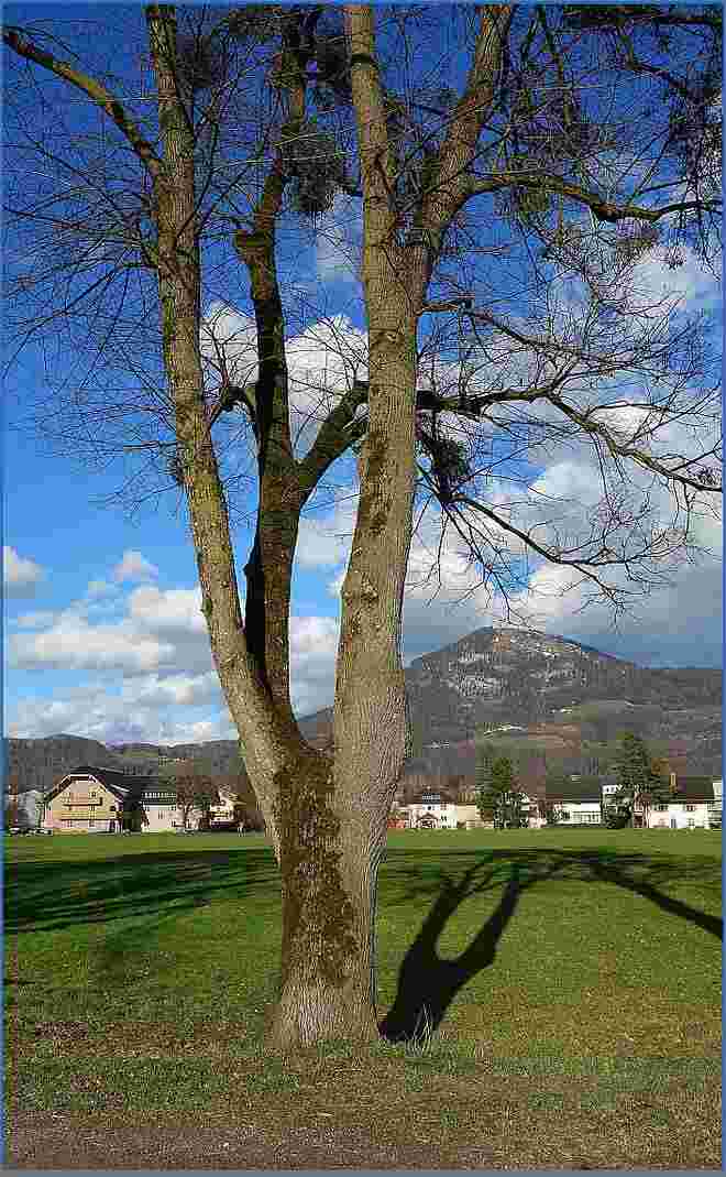 Frühlingshimmel