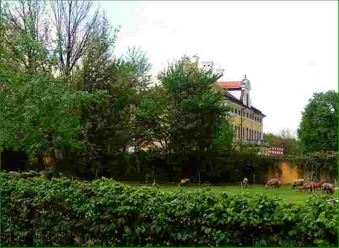 Die Südseite der Frohnburg