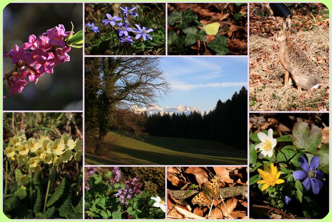 Fundus vom Spaziergang