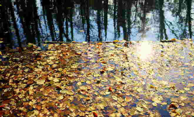 "GOLDENER HERBST"