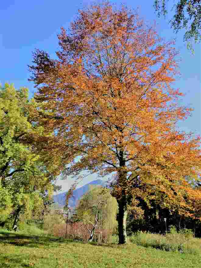 Gaisberg-Guck