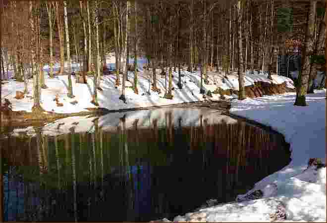 Gaisbergwasser