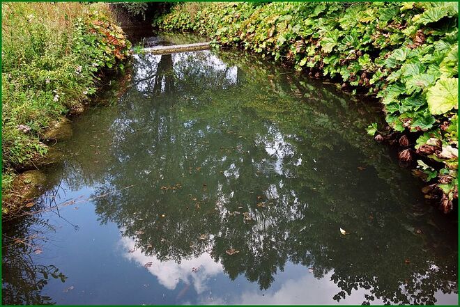 . . .  noch überwiegt das Grün . . . 