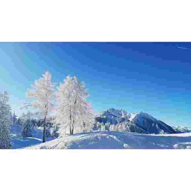 Neuschnee