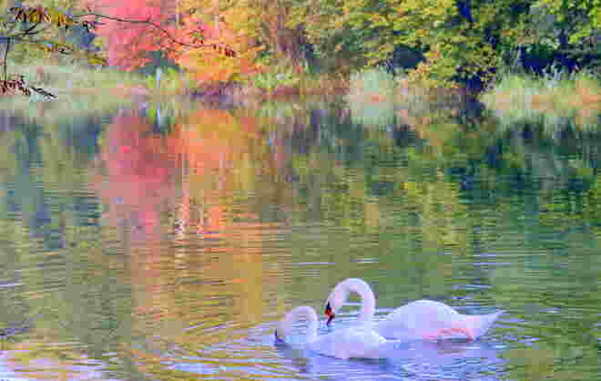 "HERBSTLICHE FUTTERSUCHE"
