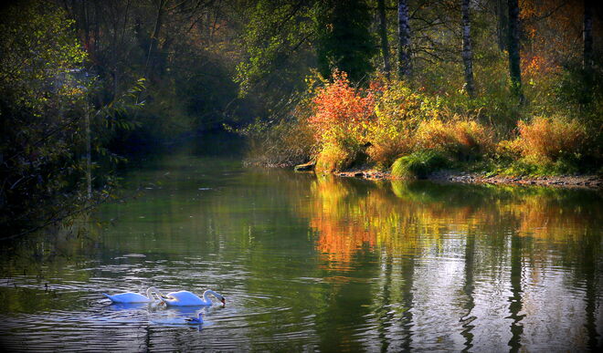 "HARMONIE IM HERBST"