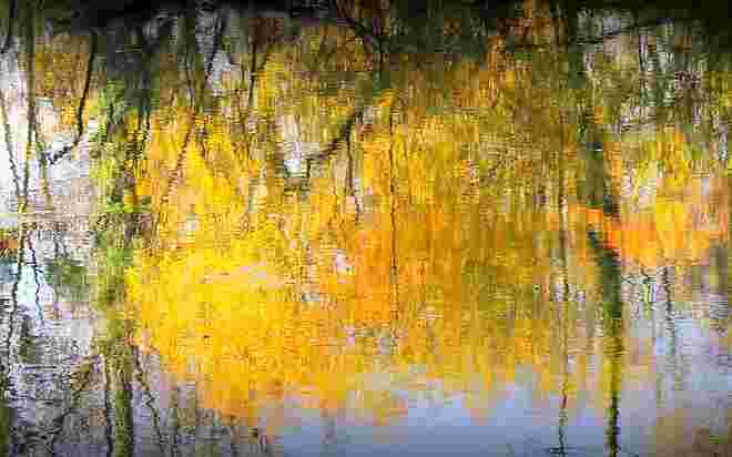 " HERBST- IM SPIEGEL DER ENKNACH "