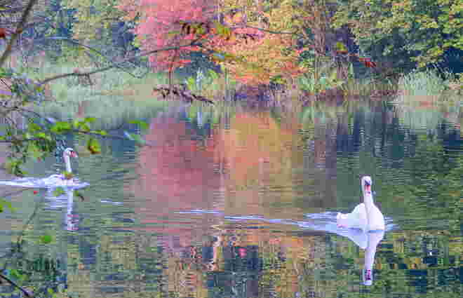 "HERBSTAUSFLUG"
