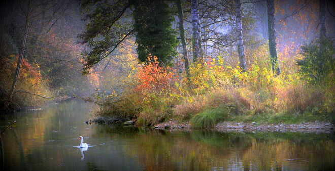 "HERBST IM TAL"