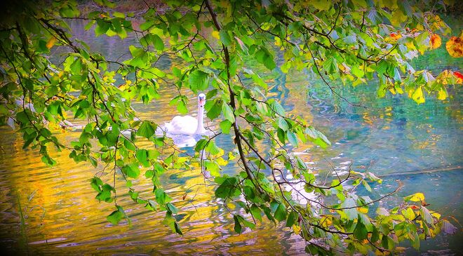 " HERBSTLICHER DURCHBLICK "