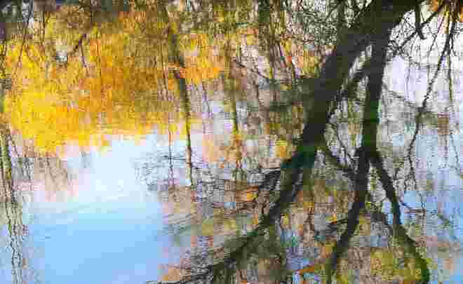 " HERBSTWASSER II"