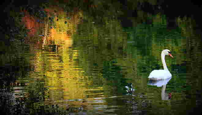 "IM HERBSTWASSER"