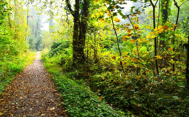 " WEGERL ZUM HERBST "