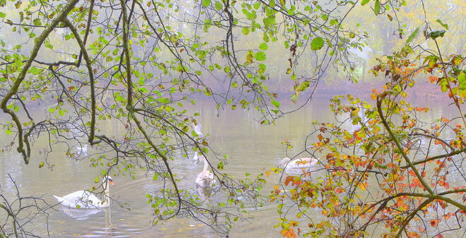 "HINTER DEM HERBSTVORHANG"