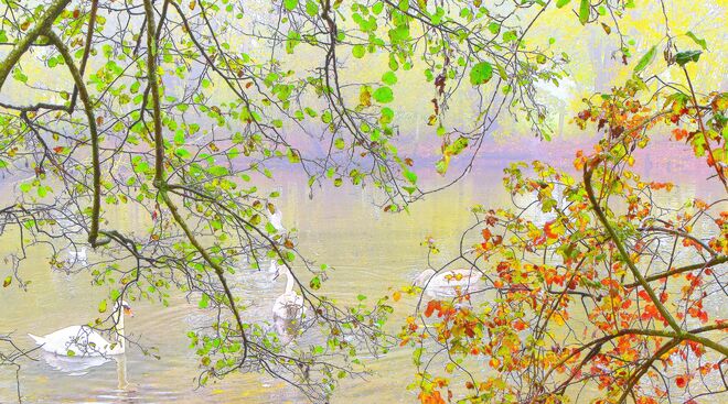 " VERTRÄUMTER HERBST "