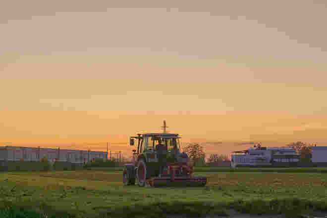 Sunset Field