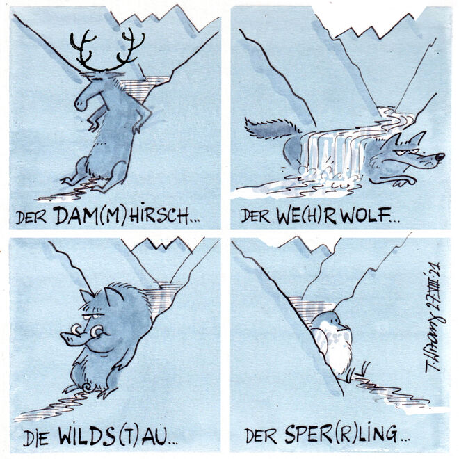 Heimisch in unseren Nationalparks ...