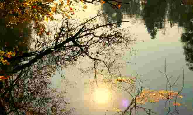 " HERBSTLICHER WEIHER "