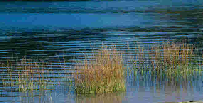 Es herbst´lt am See