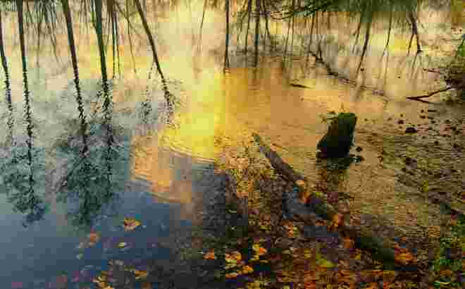 " HERBSTWASSER "