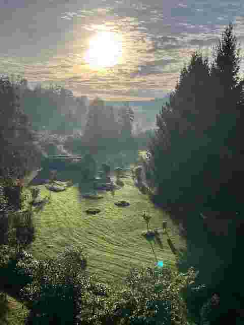 Herbstmorgen