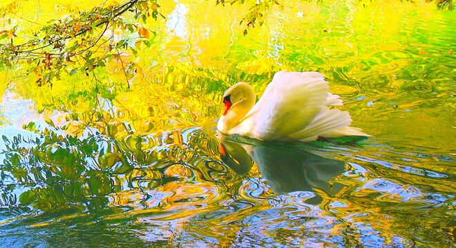 " IN DER HERBSTLICHEN ENKNACH "
