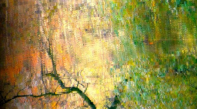 " HERBSTLICHE SPIEGELUNG "