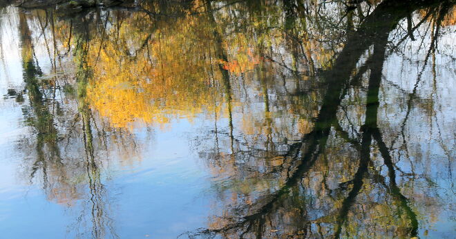 "HERBSTSPIEGELUNG"