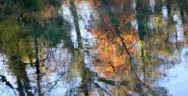 "HERBSTSPIEGELUNG"