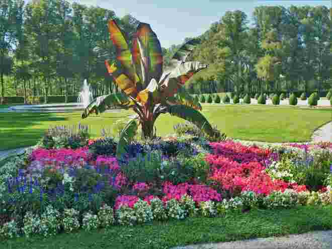 Traumpark