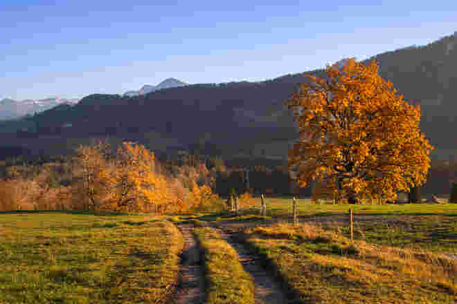 Die letzten  Sonnenstrahlen gestern