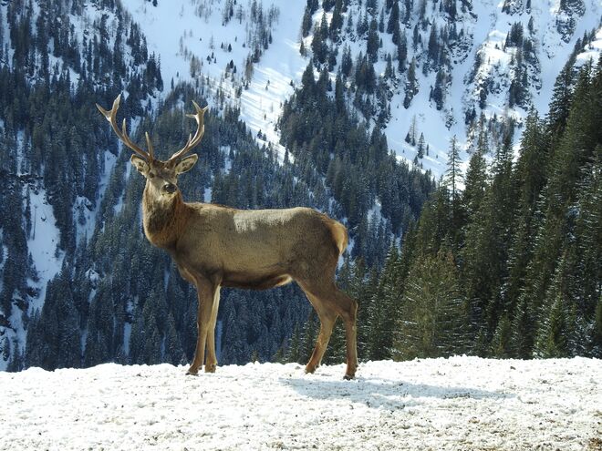 Wärmende Sonnenstrahlen