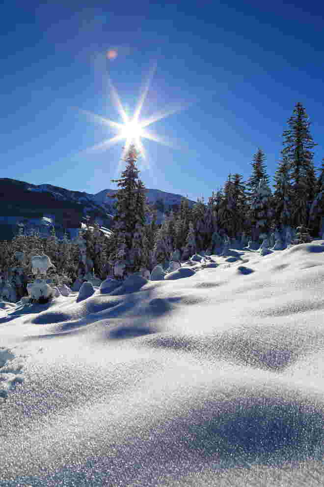 Winterpracht