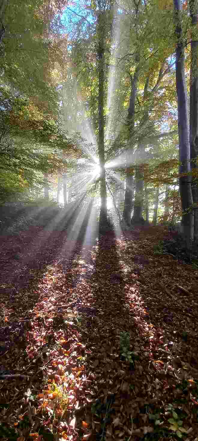 Allerheiligenstimmung