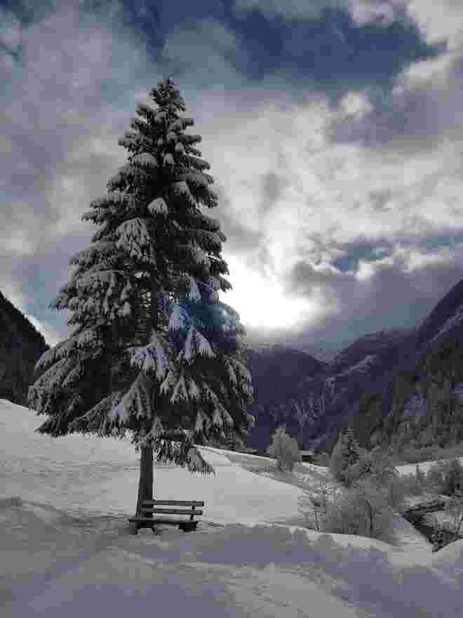 Stille