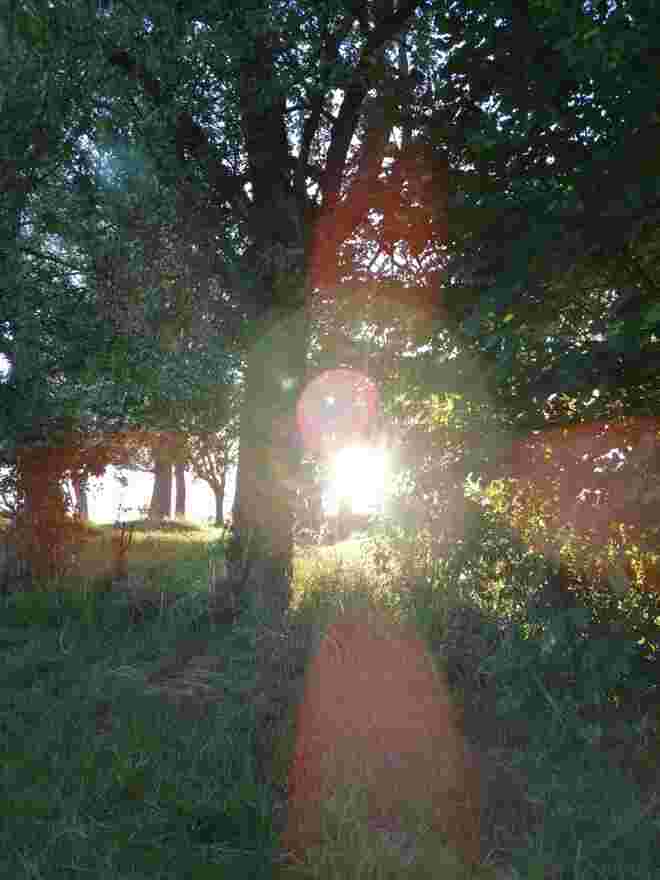 Sonnenaufgang 