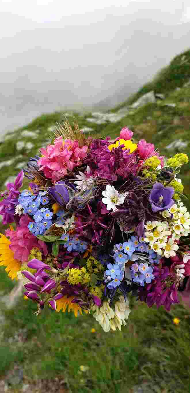 Ein herrlicher Blumenstrauß aus unseren Bergen