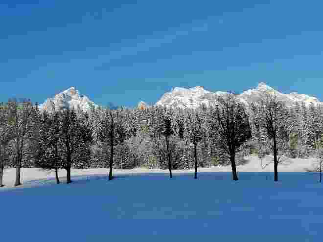 Der Schatten kriecht übers Feld 