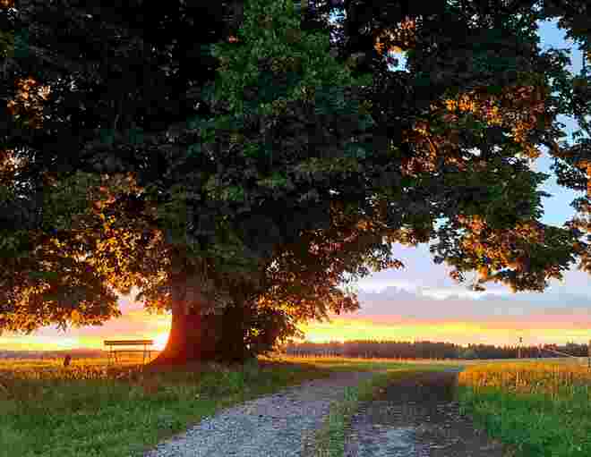 Abendstimmung