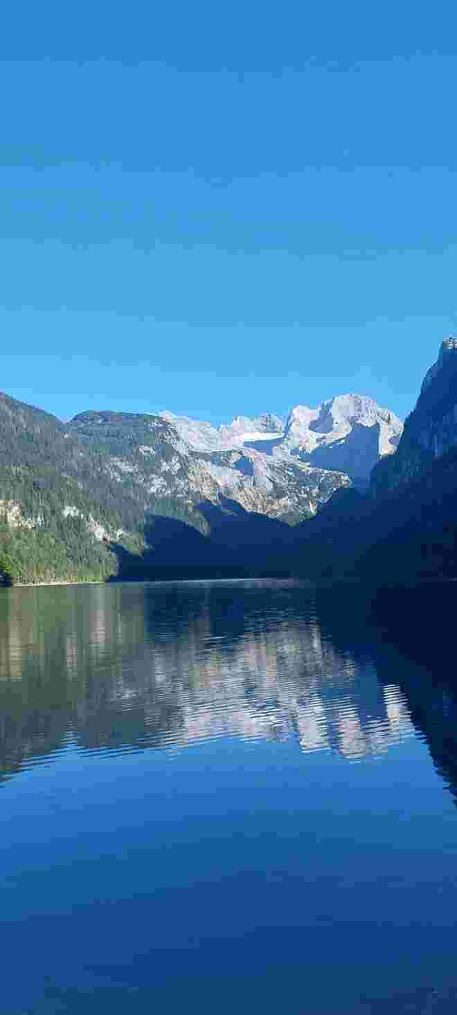 Dachsteinblick