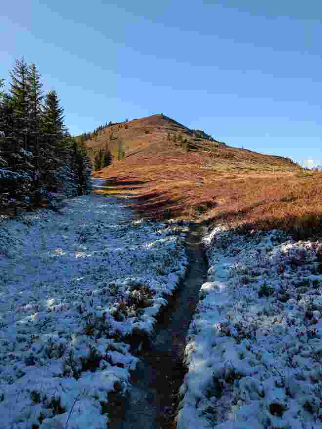 Herbst gegen Winter