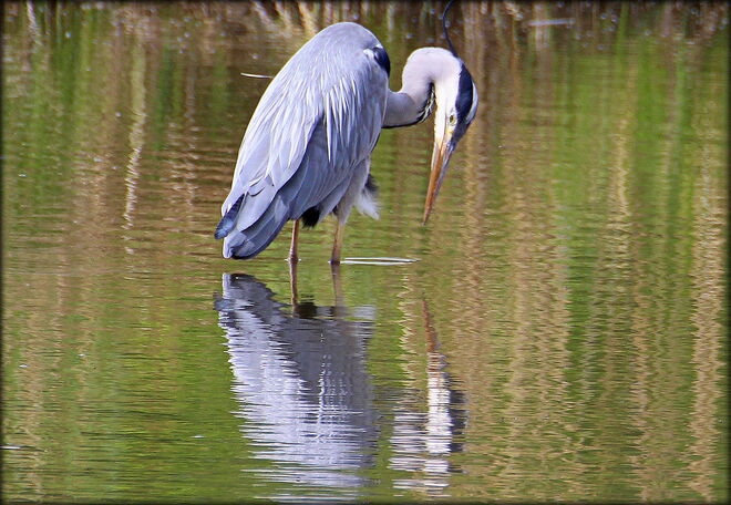 * Blick in den Spiegel ;) *