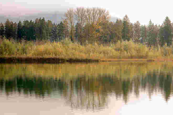 Nebliger Novembertag