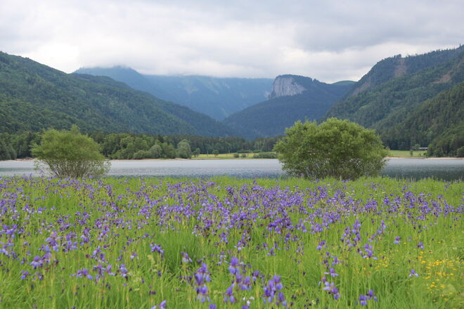 ...ich wollte sie auch sehen