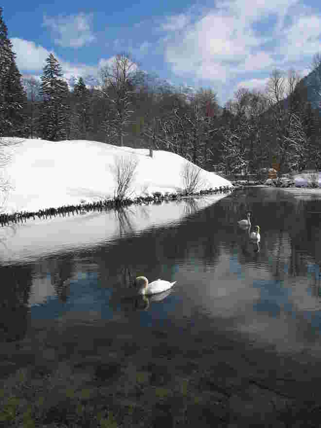 Die Winterlandschaft genießen